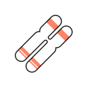 라이브러리 스크리닝 유효물질(Hit) 발굴 단계